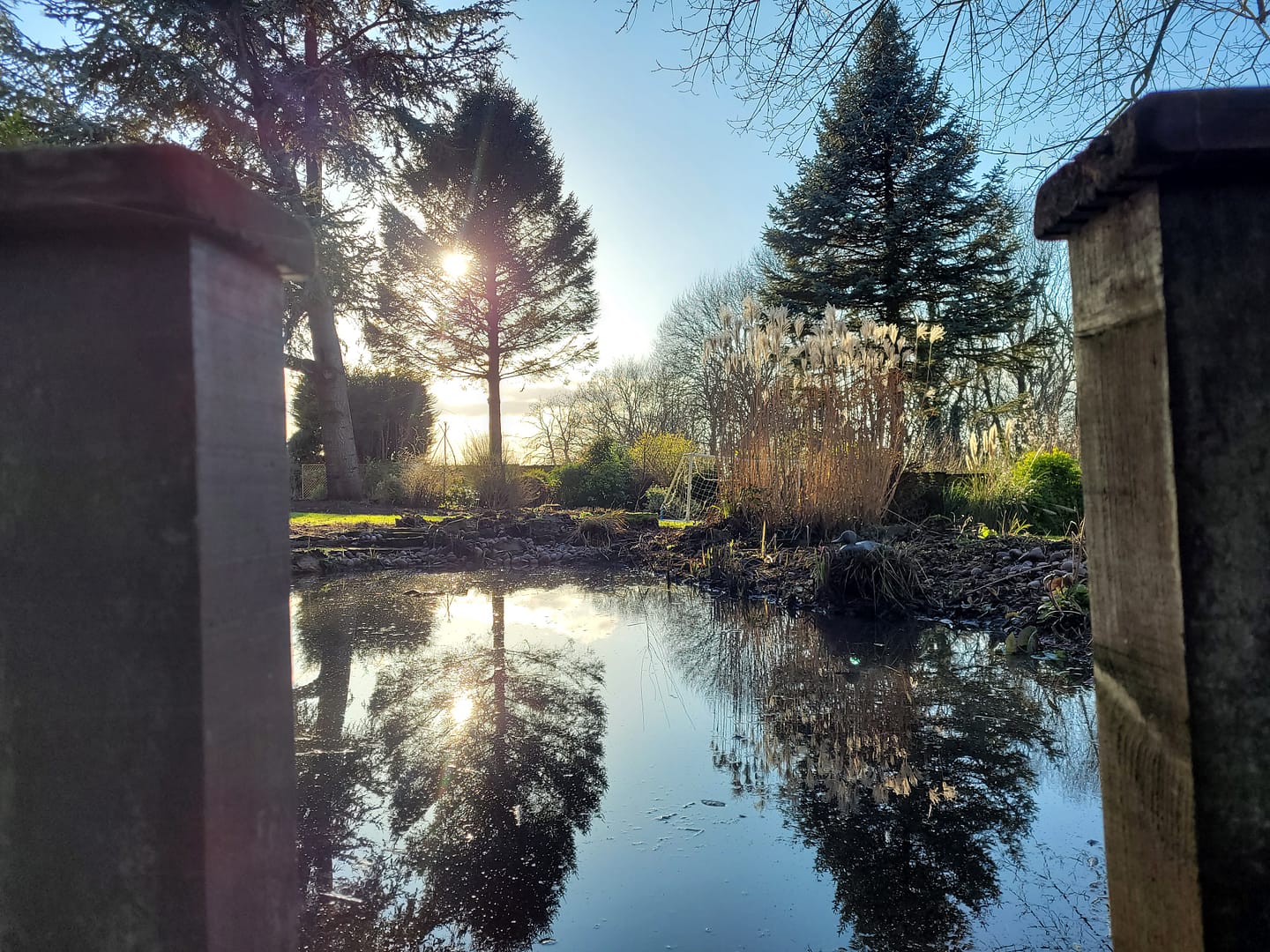 A large lined pond looking great after we implemented a maintenance plan.