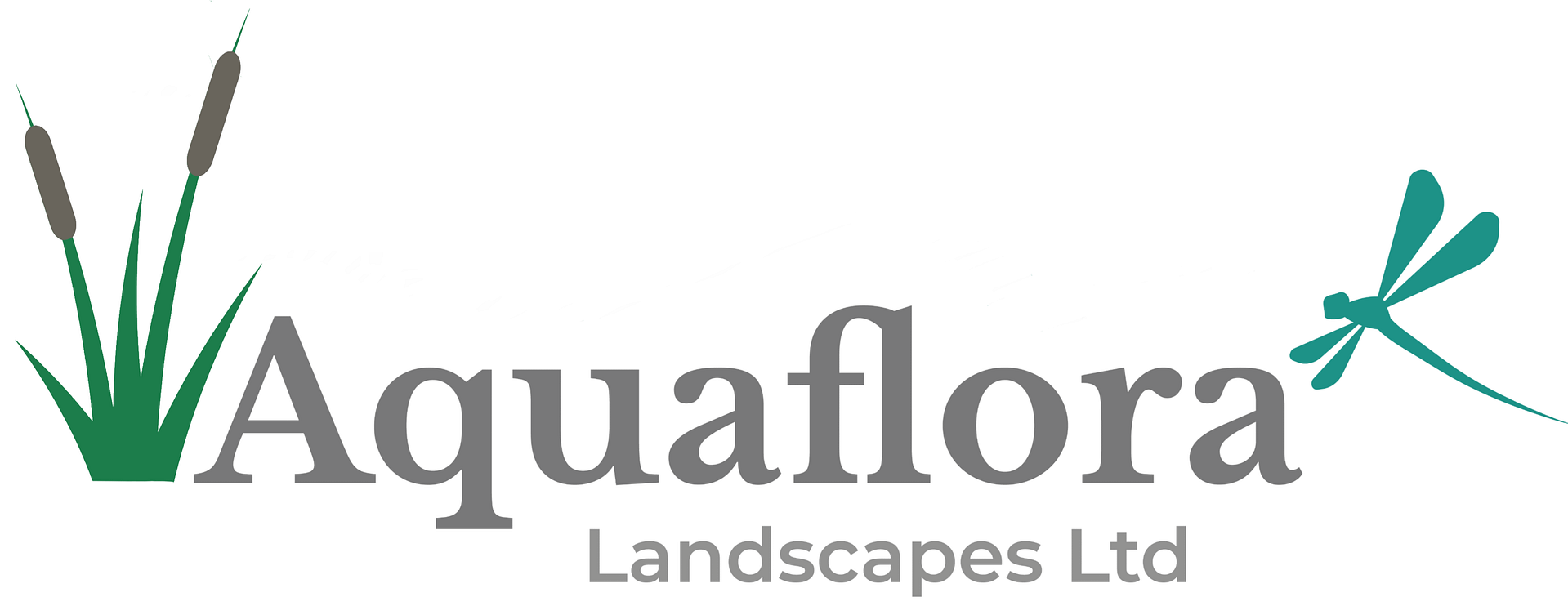 Pond Services Bristol
