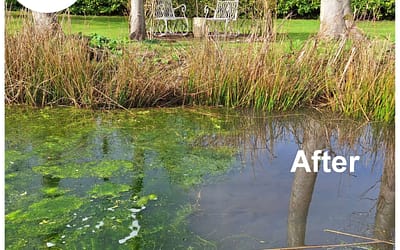 Our pond cleaning, service and maintenance check list: